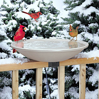 Heated Bird Baths